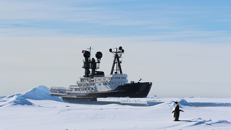 https://www.yachting.su/upload/iblock/0f0/03.jpg