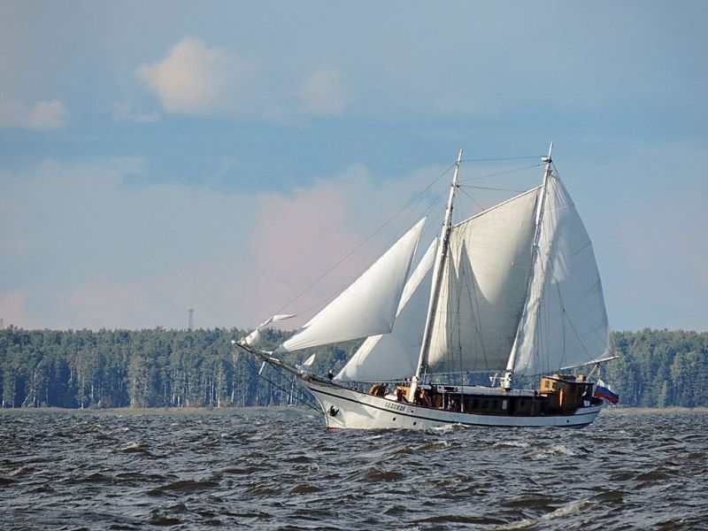 Паруса Петербурга